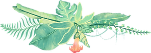 plantas tropicais