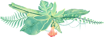 Plantas tropicales