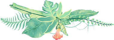 flor desenho aquarela