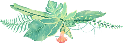 Tropical Plants