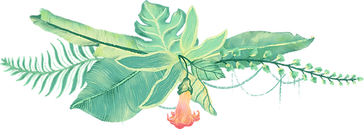 Plantes tropicales