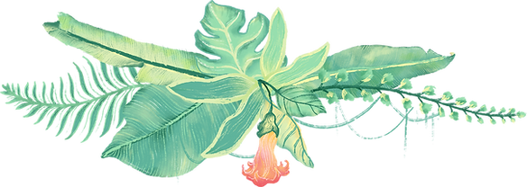 Tropical Plants