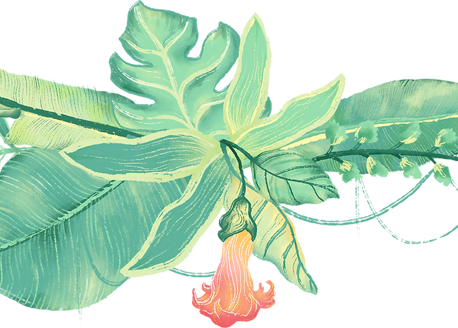 Plantas tropicales