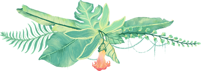 Plantes tropicales