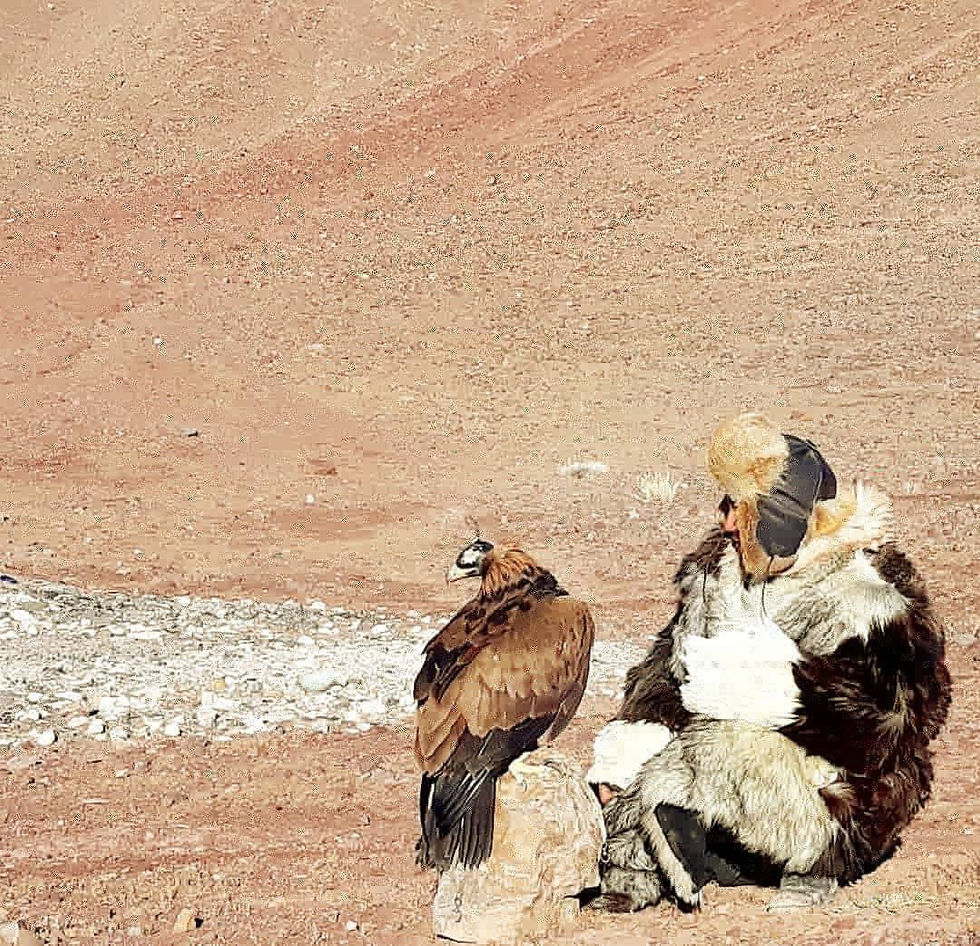 Stay with Kazakh family/eagle hunter
