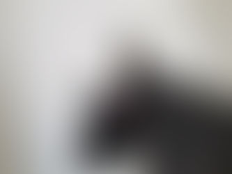 170423 trinitywing QD mount with surefire scout tactical light