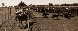 _KWB0043-3