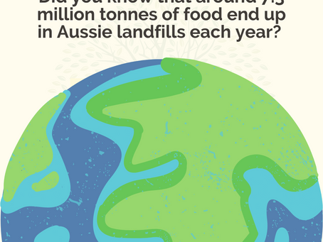 Embracing Sustainability with Lilly's Little Lunchbox