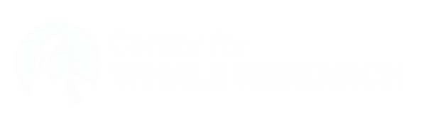 Logo Black (19.999 x 9 in) (18.5 x 5_edi