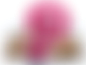 Women Reservation Bill: Overdue & Incomplete