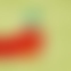 Understanding Fascism: Centralization, Ideology and Suppression