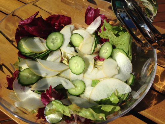 saladapepino.png