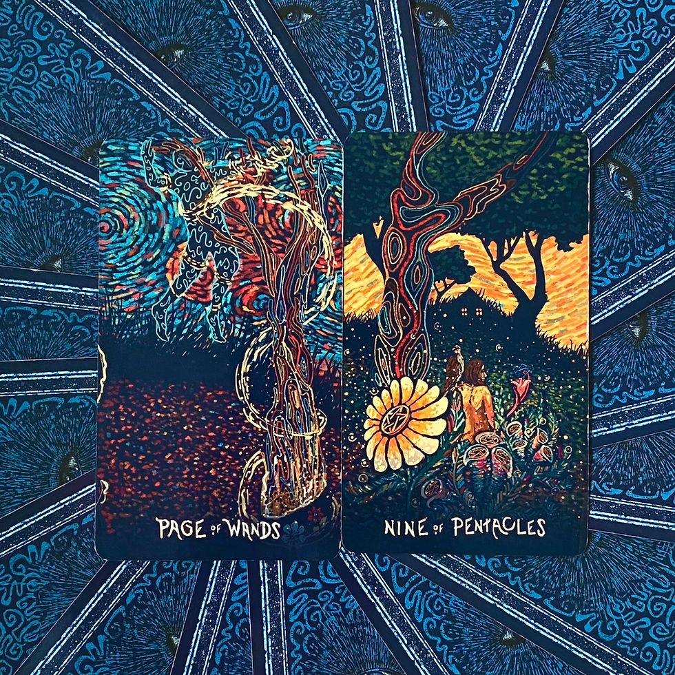 On a blue background, two cards are pictured. The first card is the Page of Wands and shows a figured being grabbed by magic into the air. The second card is the Nine of Pentacles which shows a woman in a garden with the house in the distance. And a bird sits on her shoulder.