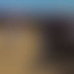 El desarrollo no se desarrolla más