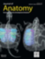Journal of Anatomy