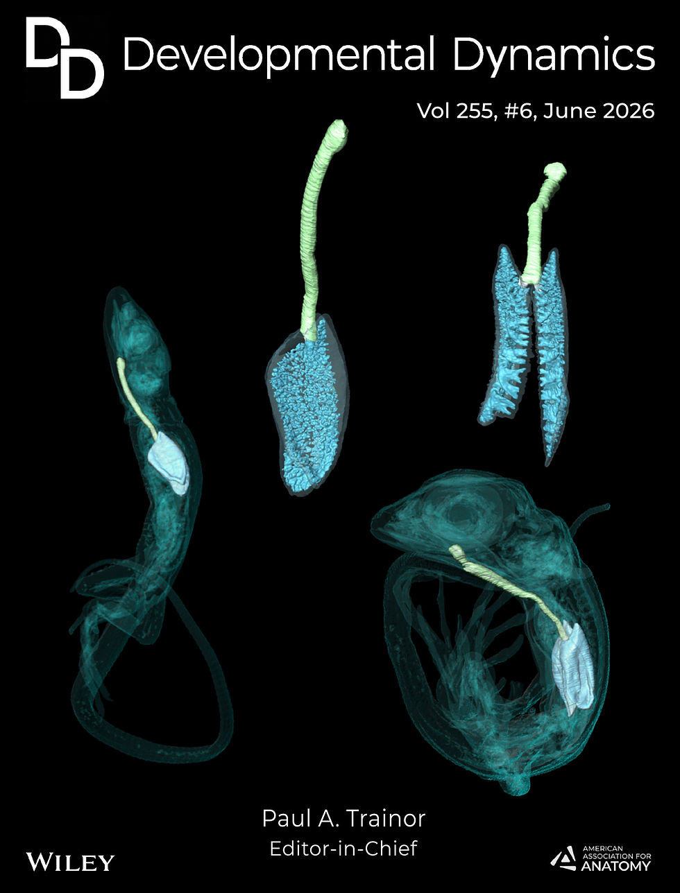 Developmental Dynamics 2026 Cover Image