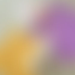 Pferd & Pony Geburtstag Einladungskarte selber basteln | Papier-Idee zum Selbermachen | Anleitung & Vorlage