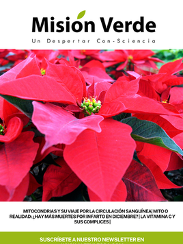 Misión Verde *Diciembre 2023*