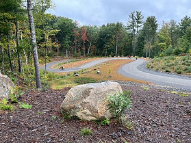 Switchbacks on trail with many green trees in the background
