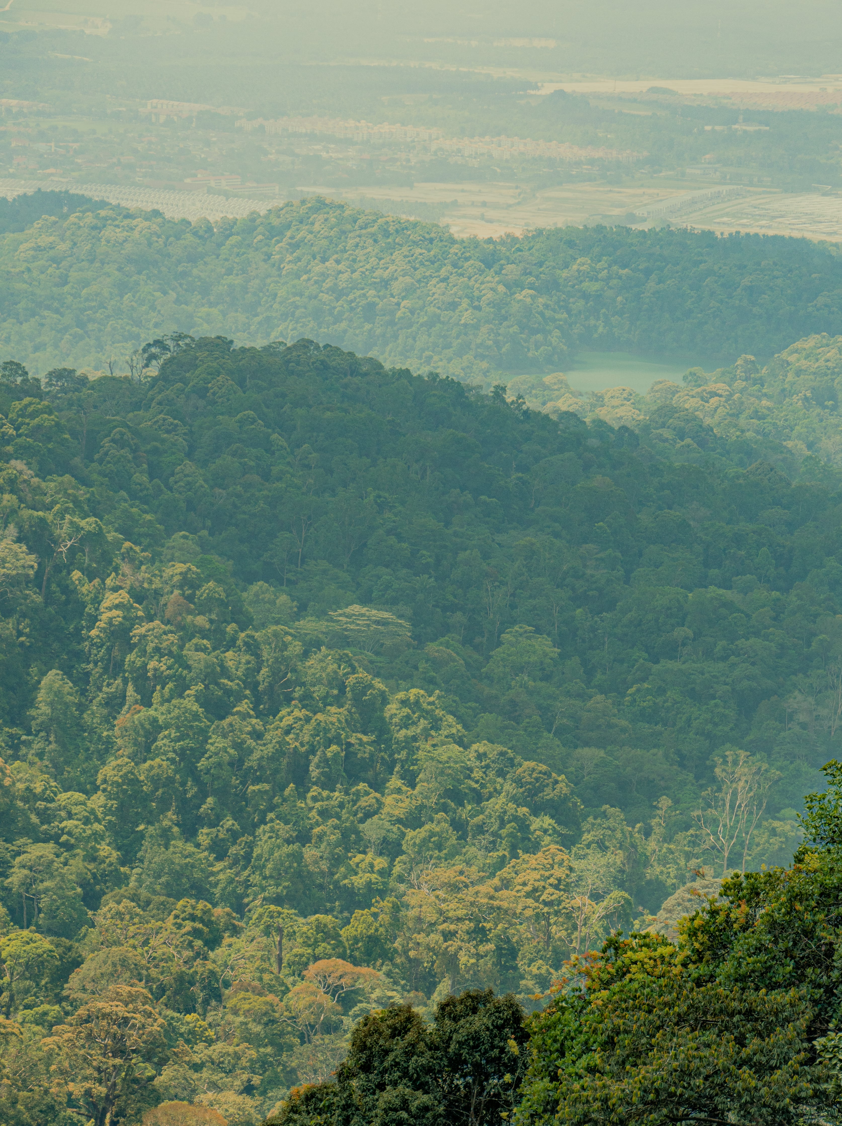A landscape view of Gunung Pulai at Johor