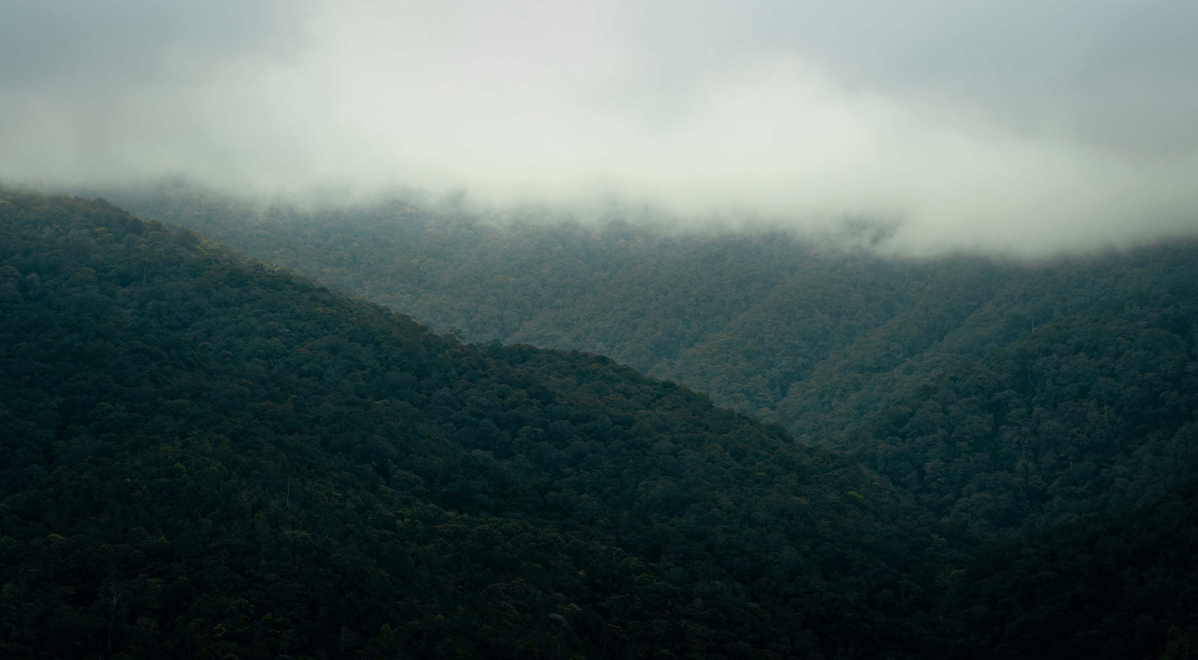 Mountains surrounded by thick clouds at Kundasang in Sabah