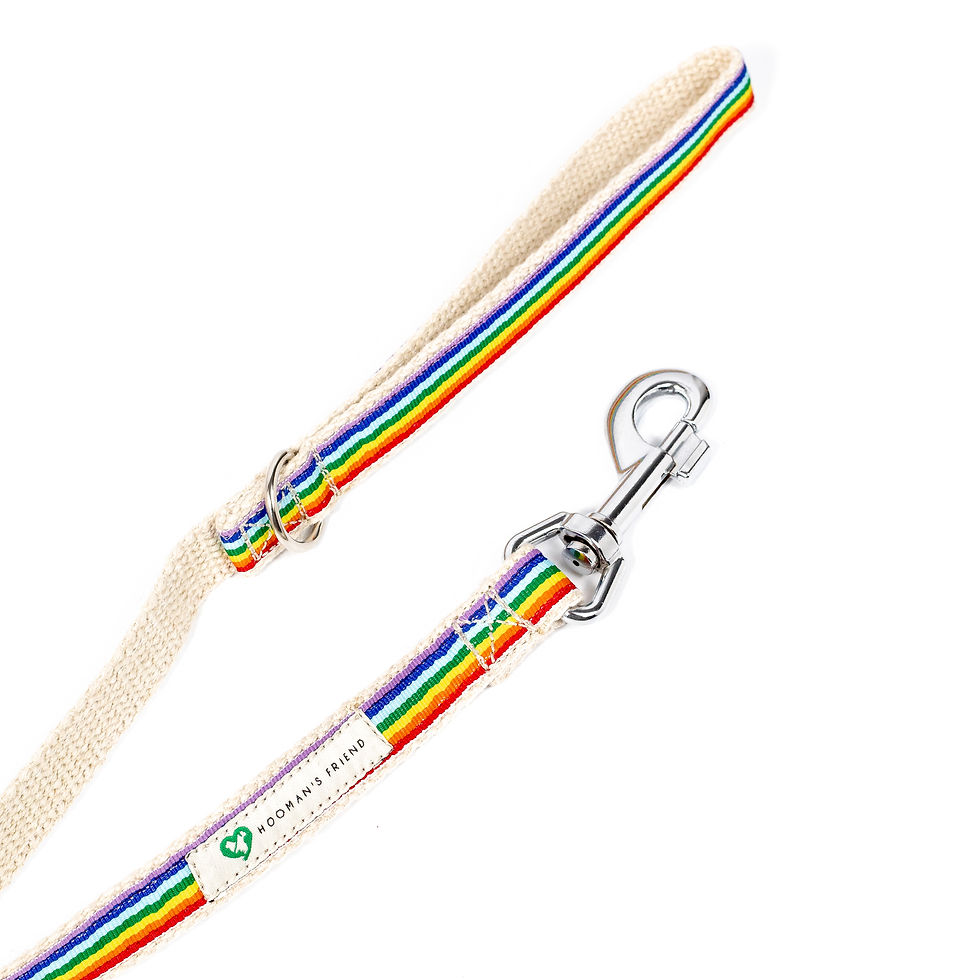 Thumbnail: Rainbow Dog Lead | Hemp | Pride Dog Lead