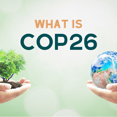 What is COP26 and why should you care?