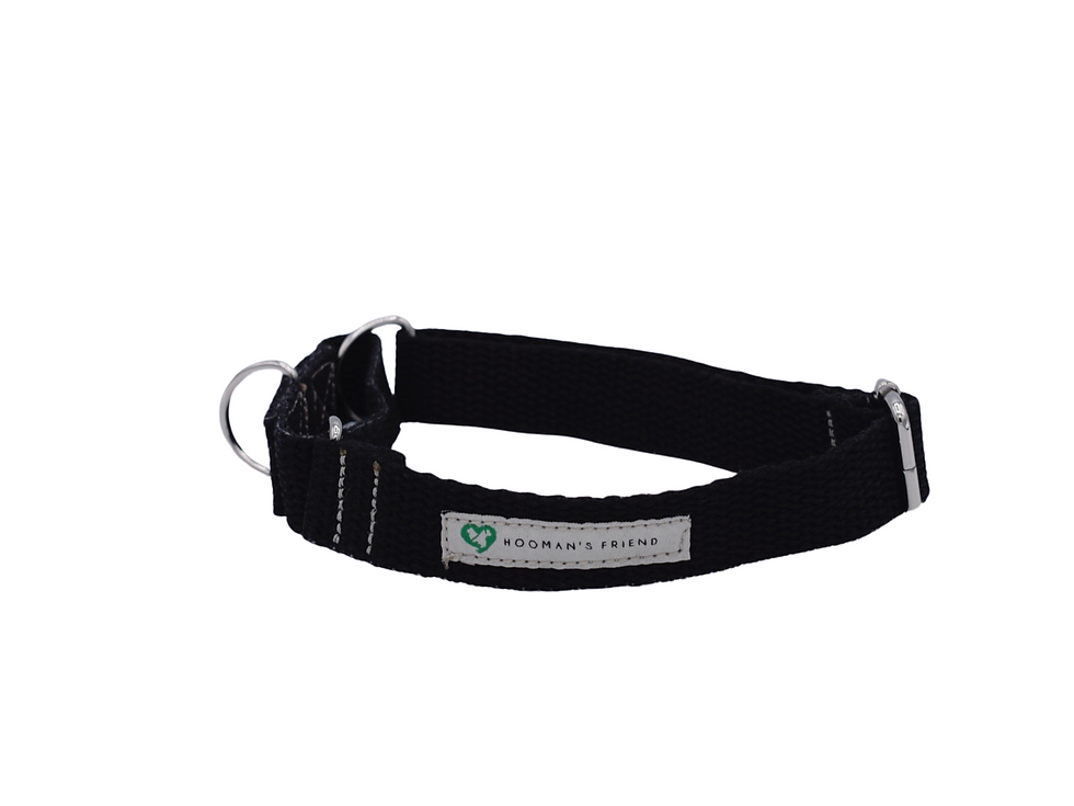 Thumbnail: Black Martingale Collar | Eco Dog Collar | Hemp | Hand dyed