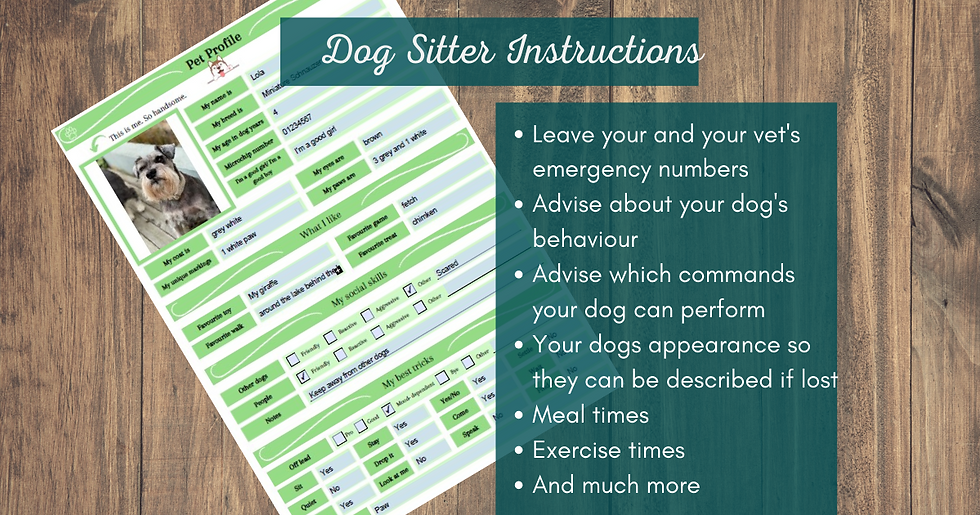 Thumbnail: Dog Sitter Template | Instant Download