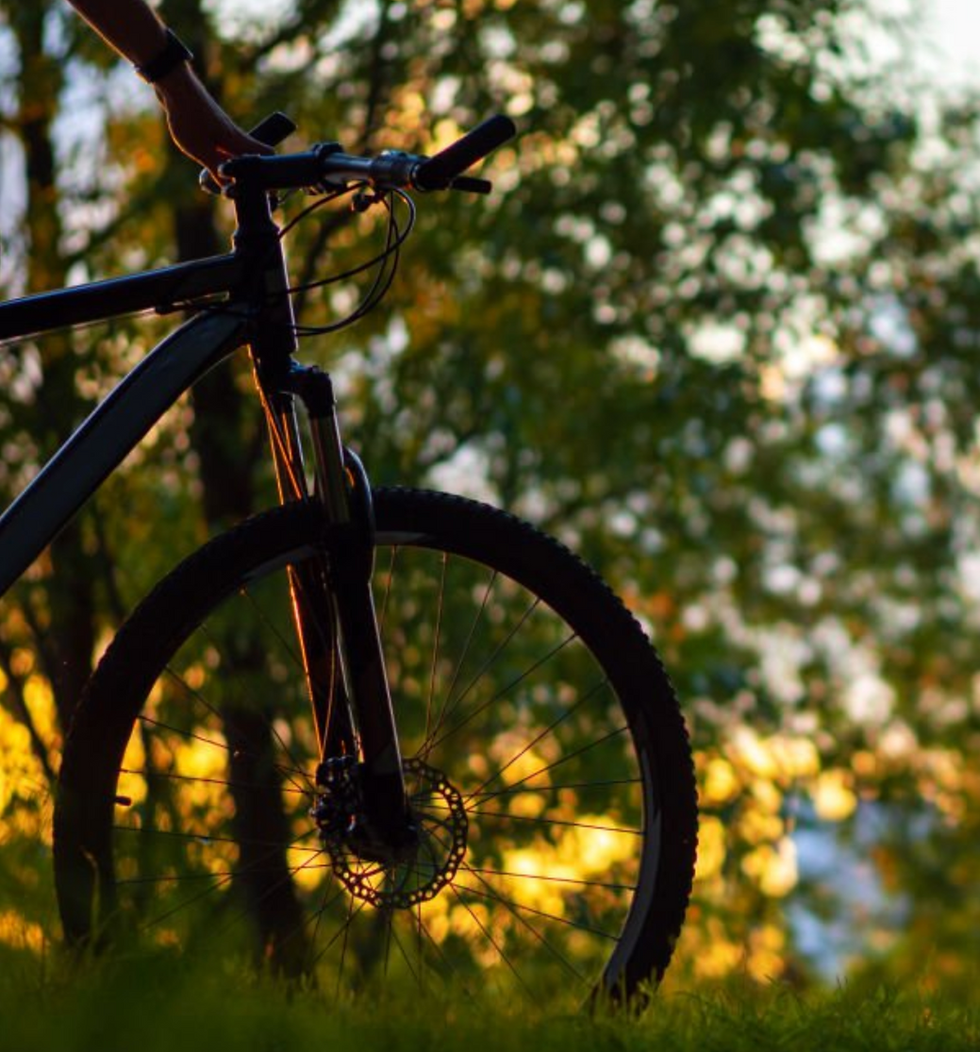 Paesaggio urbano e piacere di pedalare  - free entry