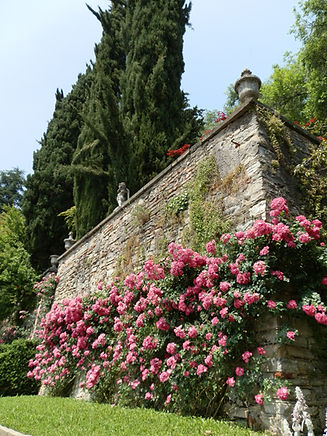 Palazzo Moroni_rose Palazzo Moroni - foto Guja Ajolfi Fondazione Museo di Palazzo Moroni.J