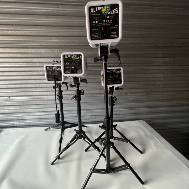 (4) Bulk Alien Bees Pro Photoflash w/ Stand
