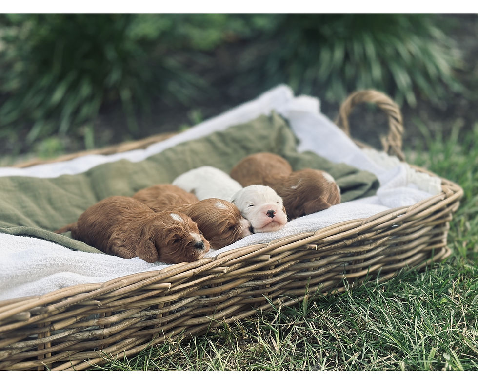 20250803_111156000_iOS