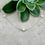Thumbnail: Sierra Pearl Necklace