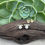Thumbnail: Goldie Studs
