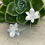 Thumbnail: Kiara Earrings