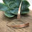 Thumbnail: Stylish rose gold threaders
