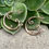 Thumbnail: Karli Rosegold Hoops