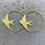 Thumbnail: Golden Swallows