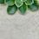 Thumbnail: Dainty Hearts Necklace