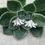 Thumbnail: Iris Flower Earrings