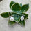 Thumbnail: Pearl Whisper Earrings