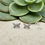 Thumbnail: Whispering Wings Studs