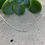 Thumbnail: Lucca Necklace