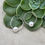 Thumbnail: Dew Drop Hoop Earrings