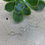 Thumbnail: Valencia Necklace