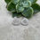 Thumbnail: Claudine Studs