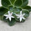 Thumbnail: Wilma Wildflower Earrings