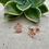 Thumbnail: Lorraine Rose Gold Flower Earrings