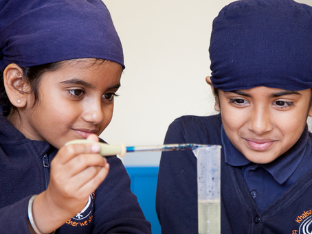 Why the effort with Sikh Scholar Hub?